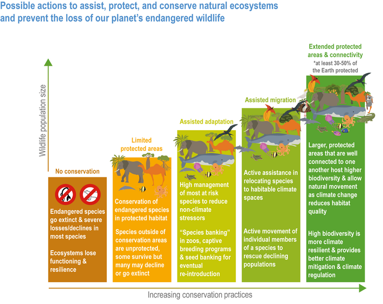 File:2485400c2cd49b3ce1052a00e87d9954 IPCC AR6 WGII Figure 2 FAQ 2.1.1.png