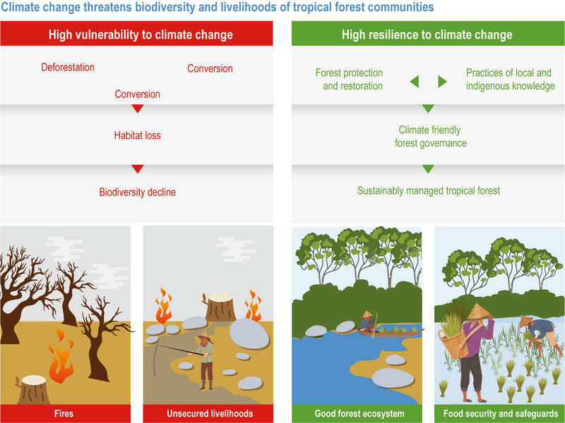 File:189bcd5508b0f92e253a417d4d198de0 IPCC AR6 WGII Figure CCP7 001.png