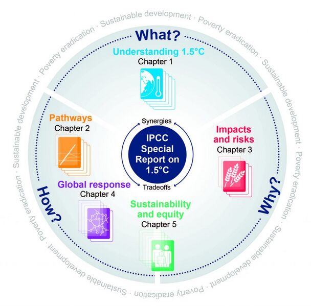 File:Db05383e6cb3e620482768615c78c50f figure-6-1024x1009.jpg
