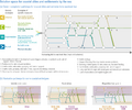 Thumbnail for version as of 16:15, 12 May 2026