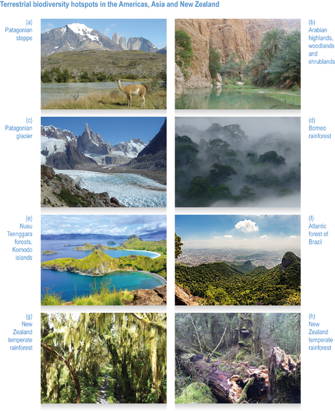 File:173e831942ff16e2f1c247fb5ed06fb6 IPCC AR6 WGII Figure CCP1 008.png