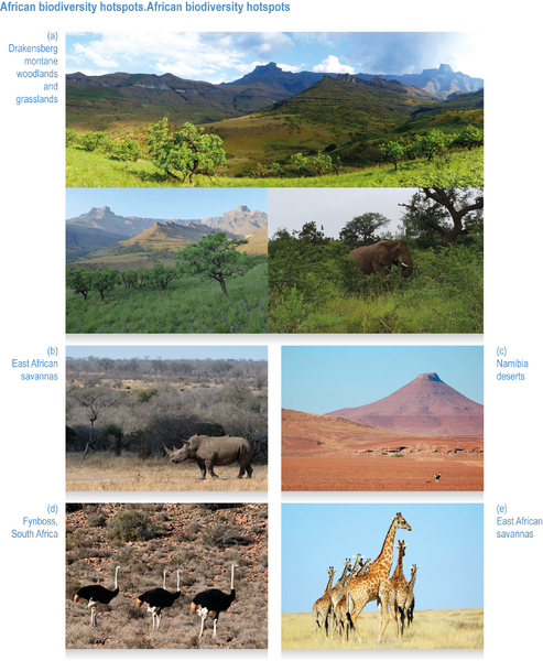 File:8da323292c35ed04f7913b65380bfbf0 IPCC AR6 WGII Figure CCP1 010.png