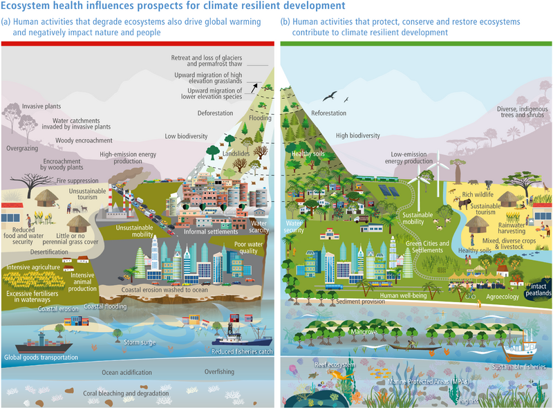 File:C1ea74c36c2df6de789d1008b368a15c IPCC AR6 WGII Figure 2 FAQ 2.5.1.png