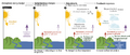 Thumbnail for version as of 16:16, 12 May 2026