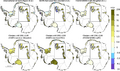 Thumbnail for version as of 16:15, 12 May 2026