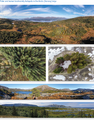 Thumbnail for version as of 16:15, 12 May 2026