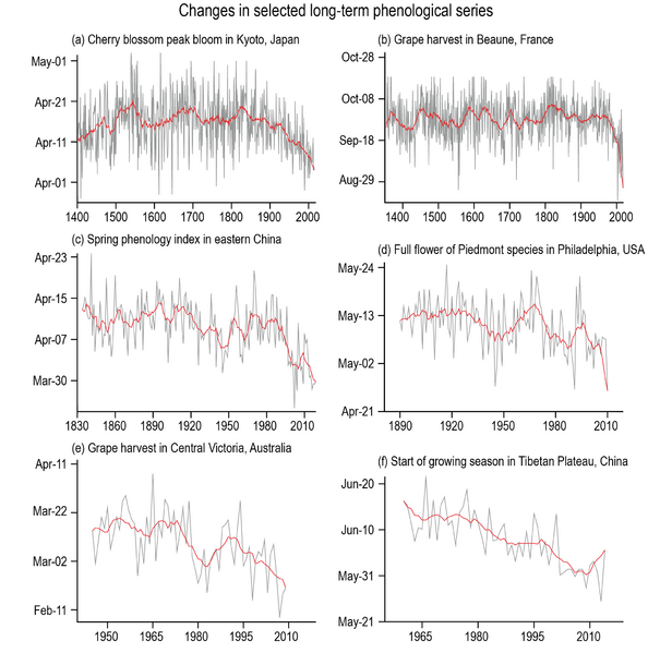 File:D764bd8f474028bd82eba6568ef91e06 IPCC AR6 WGI Figure 2 32.png