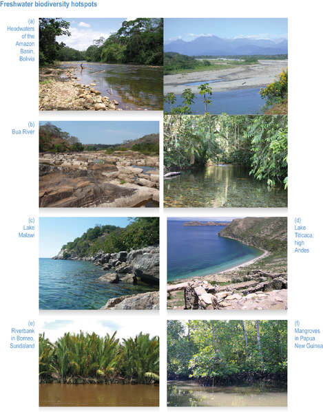 File:836f4c70f5ee51621c6e95f45cd5d097 IPCC AR6 WGII Figure CCP1 012.png
