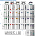 Thumbnail for version as of 16:15, 12 May 2026