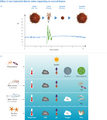 Thumbnail for version as of 16:16, 12 May 2026