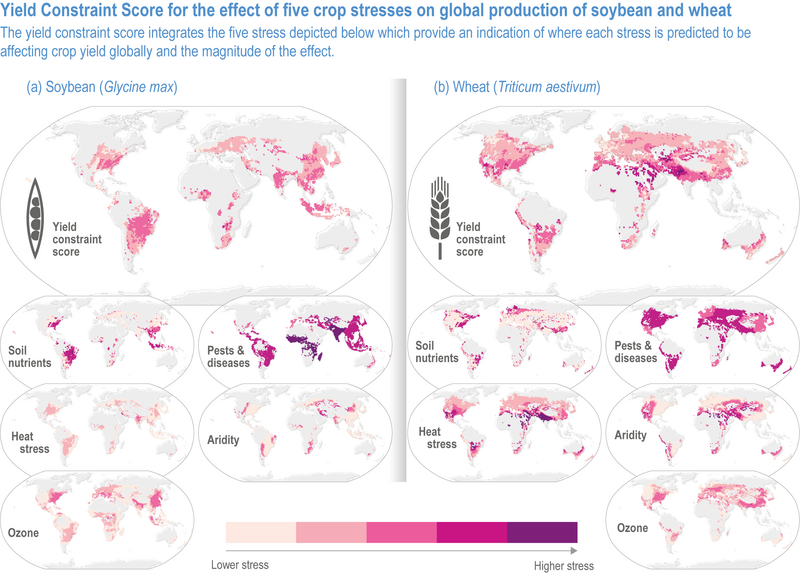 File:9cb2c3164051a26bb5ff3bf260e4b9b7 IPCC AR6 WGII Figure 5 004.png