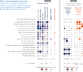 Thumbnail for version as of 16:15, 12 May 2026