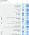 Thumbnail for version as of 16:16, 12 May 2026