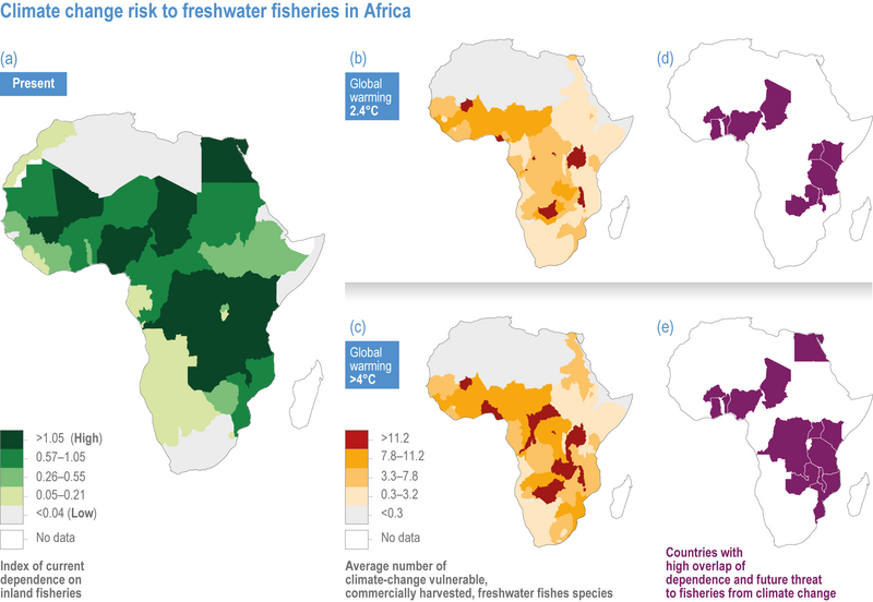 File:16a1a5a6a362d2da1a05b2693b7ca404 IPCC AR6 WGII Figure 9 026.png