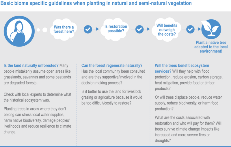 File:C5db988068a9cc52222c375bc2e9765d IPCC AR6 WGII Figure 2 FAQ 2.6.1.png