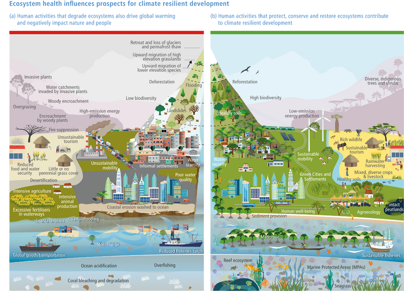 File:5461265e0bc6c476d9261fd5c189432a IPCC AR6 WGII Figure TS 012.png