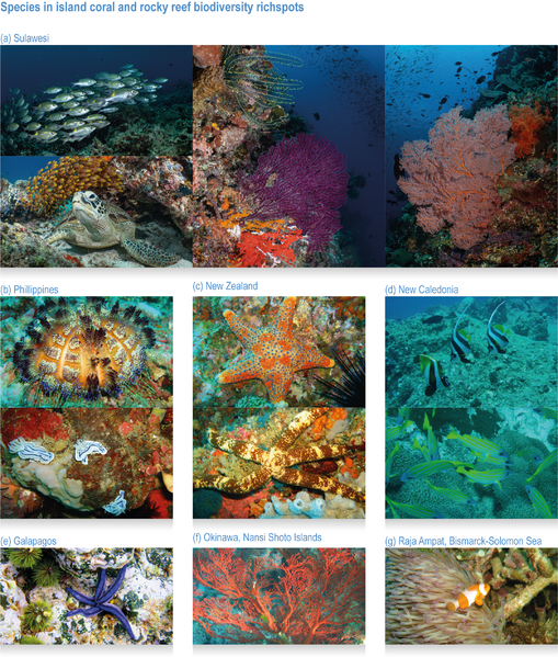 File:374dd1148a2f8894380e9bc4486a4168 IPCC AR6 WGII Figure CCP1 014.png