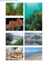 Thumbnail for version as of 16:16, 12 May 2026