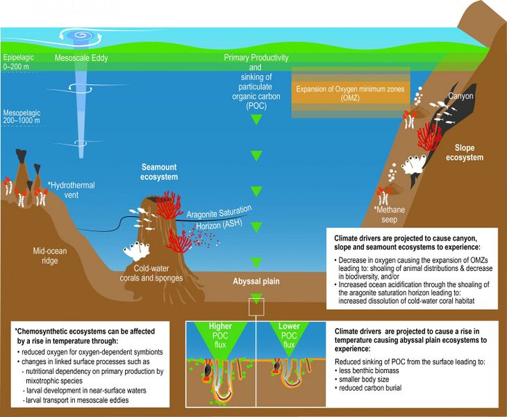 File:31366bf5606fb7d2d2844e775476da50 IPCC-SROCC-CH 5 15-3000x2465.jpg