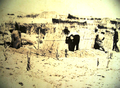 Thumbnail for version as of 16:16, 12 May 2026