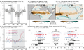 Thumbnail for version as of 16:15, 12 May 2026