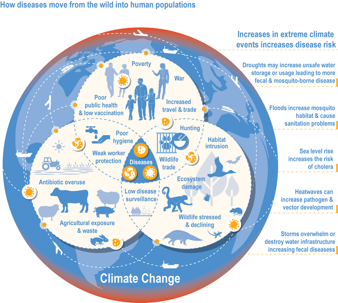File:4cbc75e56b6cc39025c642db16106915 IPCC AR6 WGII Figure 2 FAQ 2.2.1.png