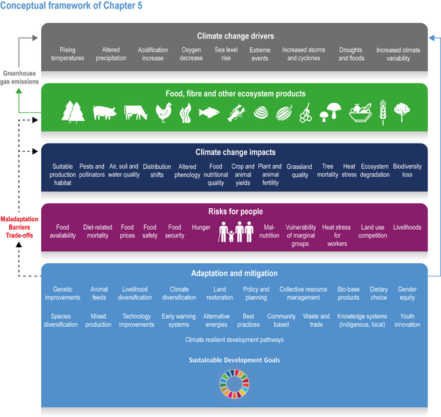 File:38c9b1f6606c1b3b495c2ab2ab57b041 IPCC AR6 WGII Figure 5 001.png