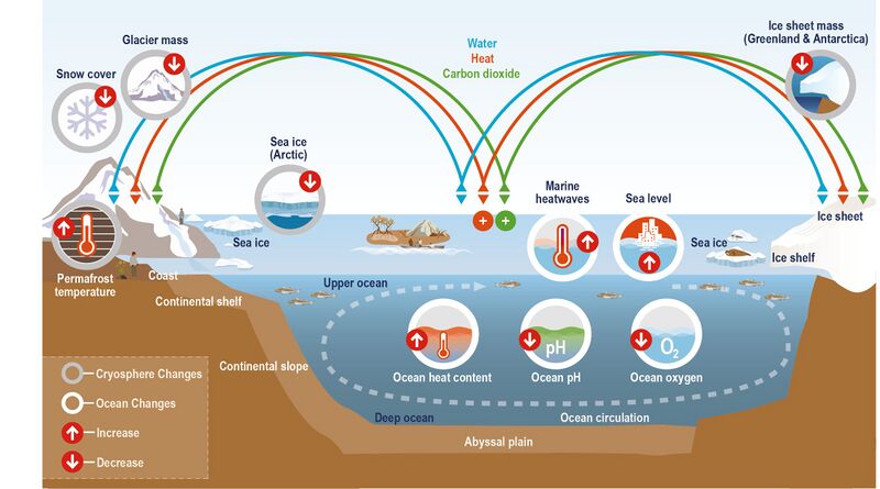 File:E1b17cf8e94756f855586a3a366d8a3b IPCC-SROCC-CB 1 1.jpg