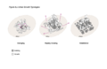 Thumbnail for version as of 16:15, 12 May 2026