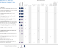 Thumbnail for version as of 16:16, 12 May 2026