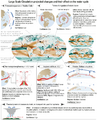 Thumbnail for version as of 16:15, 12 May 2026