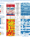 Thumbnail for version as of 16:15, 12 May 2026