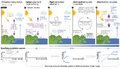Thumbnail for version as of 16:16, 12 May 2026