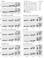 Thumbnail for version as of 16:15, 12 May 2026
