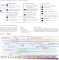 Thumbnail for version as of 16:15, 12 May 2026