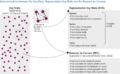 Thumbnail for version as of 16:16, 12 May 2026