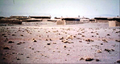 Thumbnail for version as of 16:15, 12 May 2026